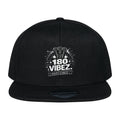 180 Vibez. Cap - Dartvibez
